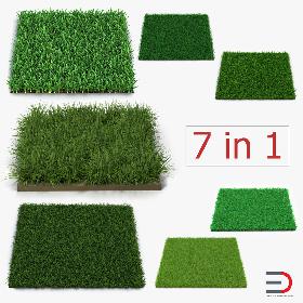 Grass Fields Collection